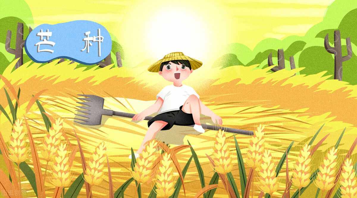 今天是芒種節(jié)，關(guān)于芒種的農(nóng)村俗語有哪些，分別是什么意思？