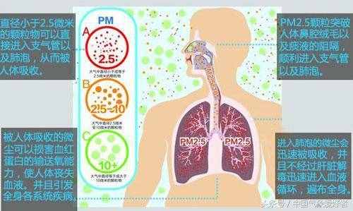 被忽視的空氣污染危害：損傷大腦神經(jīng)，或增加青少年犯罪率！