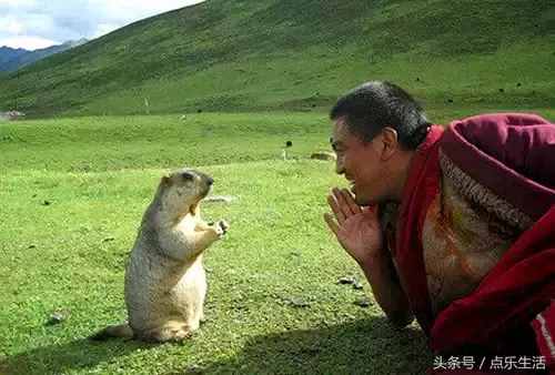 人生最正確的8種活法，總結(jié)的太好了，每個人都要看一看！