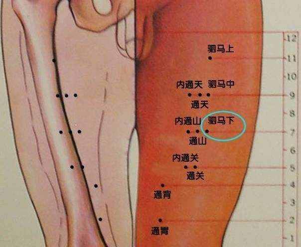 風(fēng)池穴一個(gè)又愛(ài)又恨的穴位