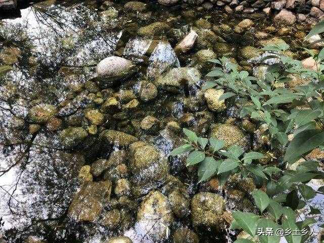 小暑將至，明日逢空，俗語：“日子逢空，萬物減半”，是啥意思？