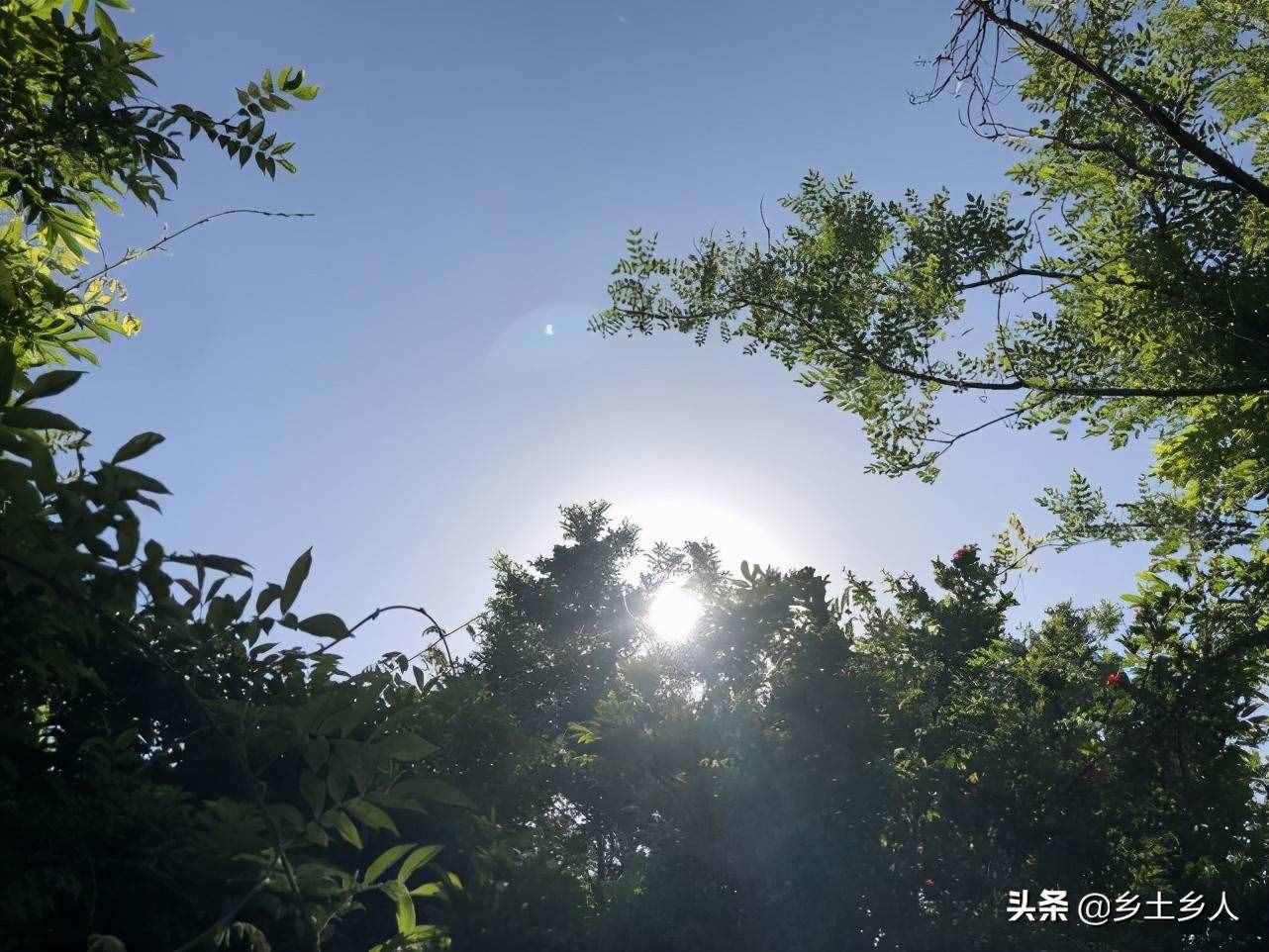 小暑將至，明日逢空，俗語：“日子逢空，萬物減半”，是啥意思？