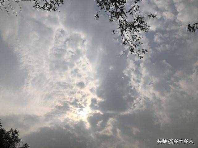 小暑將至，明日逢空，俗語：“日子逢空，萬物減半”，是啥意思？