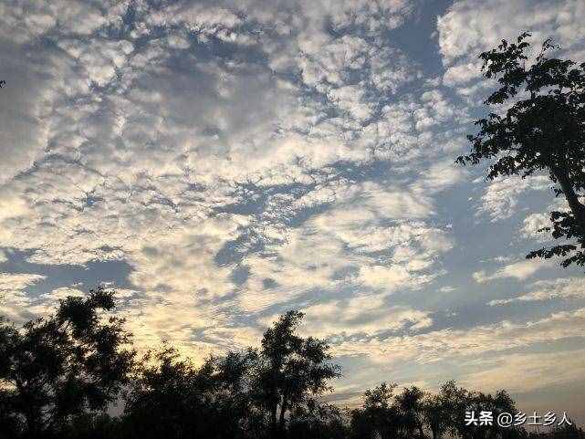 小暑將至，明日逢空，俗語：“日子逢空，萬物減半”，是啥意思？
