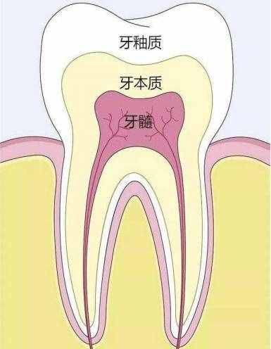 補(bǔ)牙幾十到幾千元不等？到底是水太深還是我被坑？