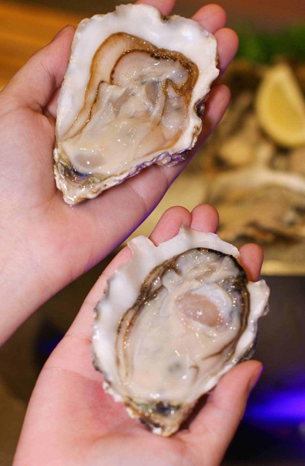 羅湖彭年萬(wàn)麗酒店盛大開(kāi)業(yè)！5星豪華自助餐人均128起吃到扶墻