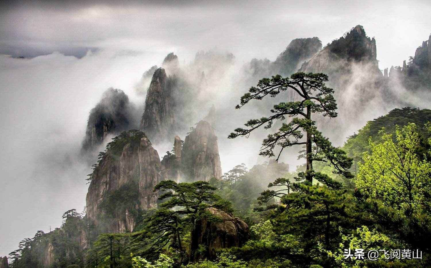 疫情期間，黃山風景區(qū)精品線路推薦和信息指南