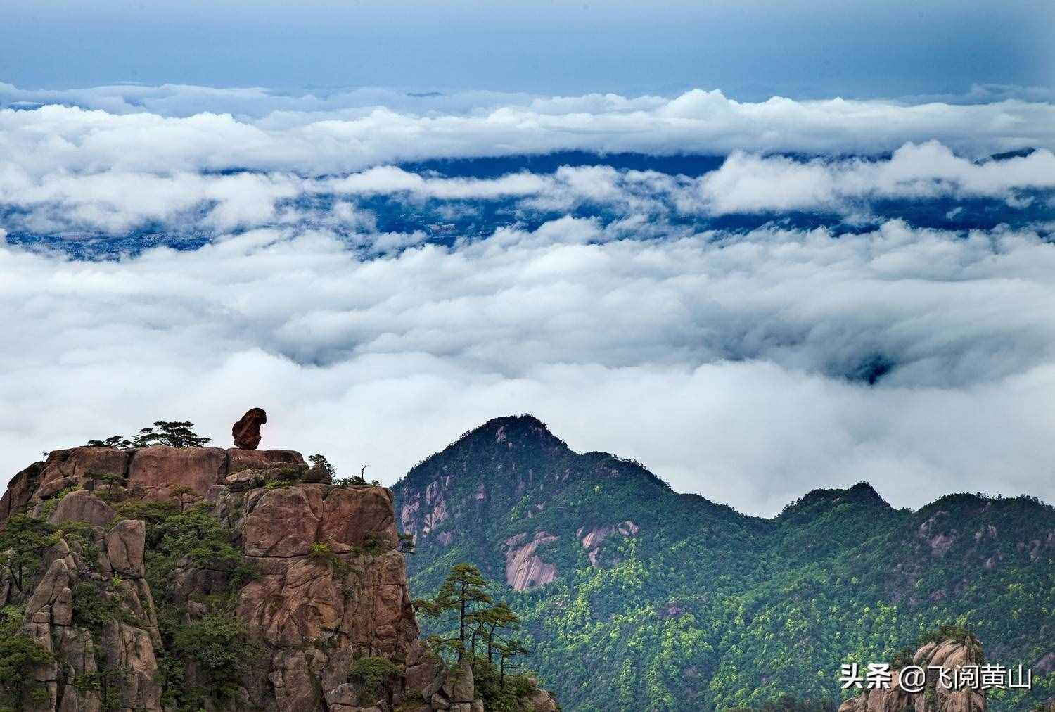 疫情期間，黃山風景區(qū)精品線路推薦和信息指南