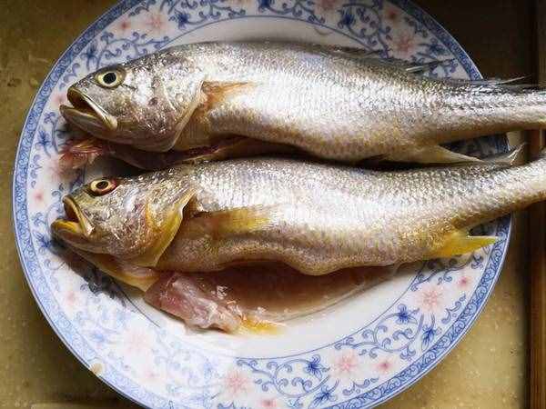 燉黃花魚(yú)的步驟