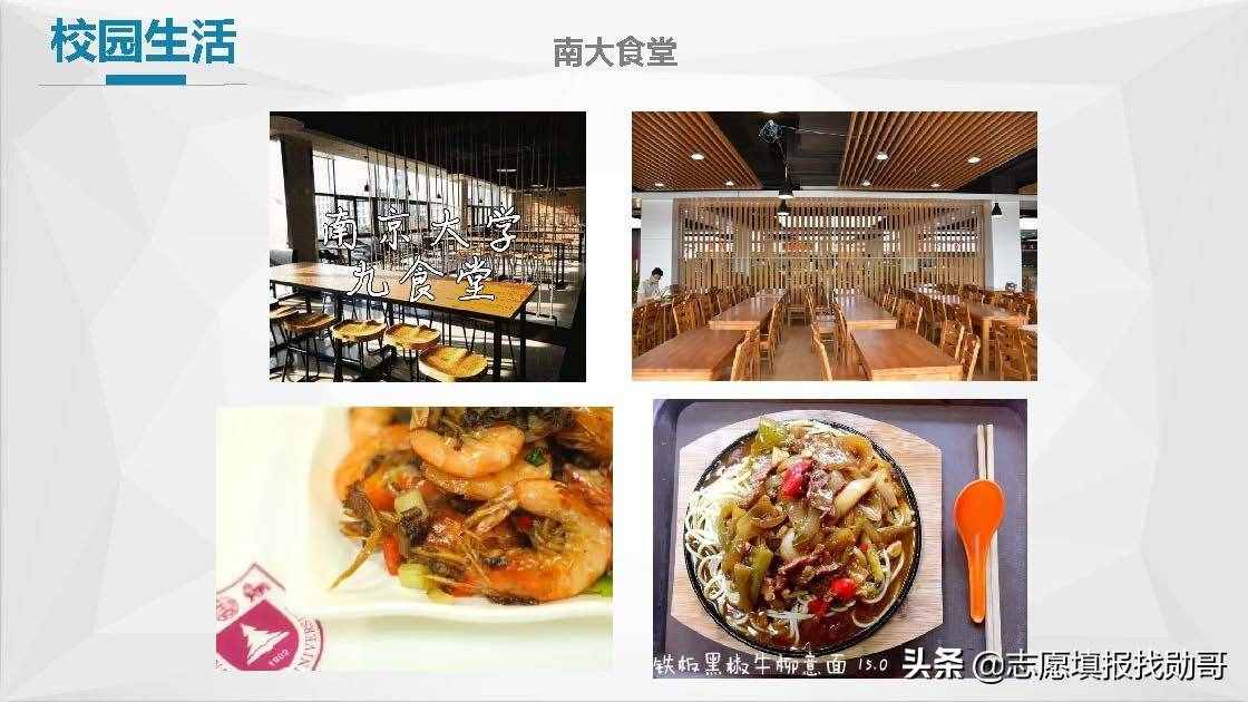 江蘇南京高校大盤點！報考，專業(yè)，就業(yè)一網(wǎng)打盡！