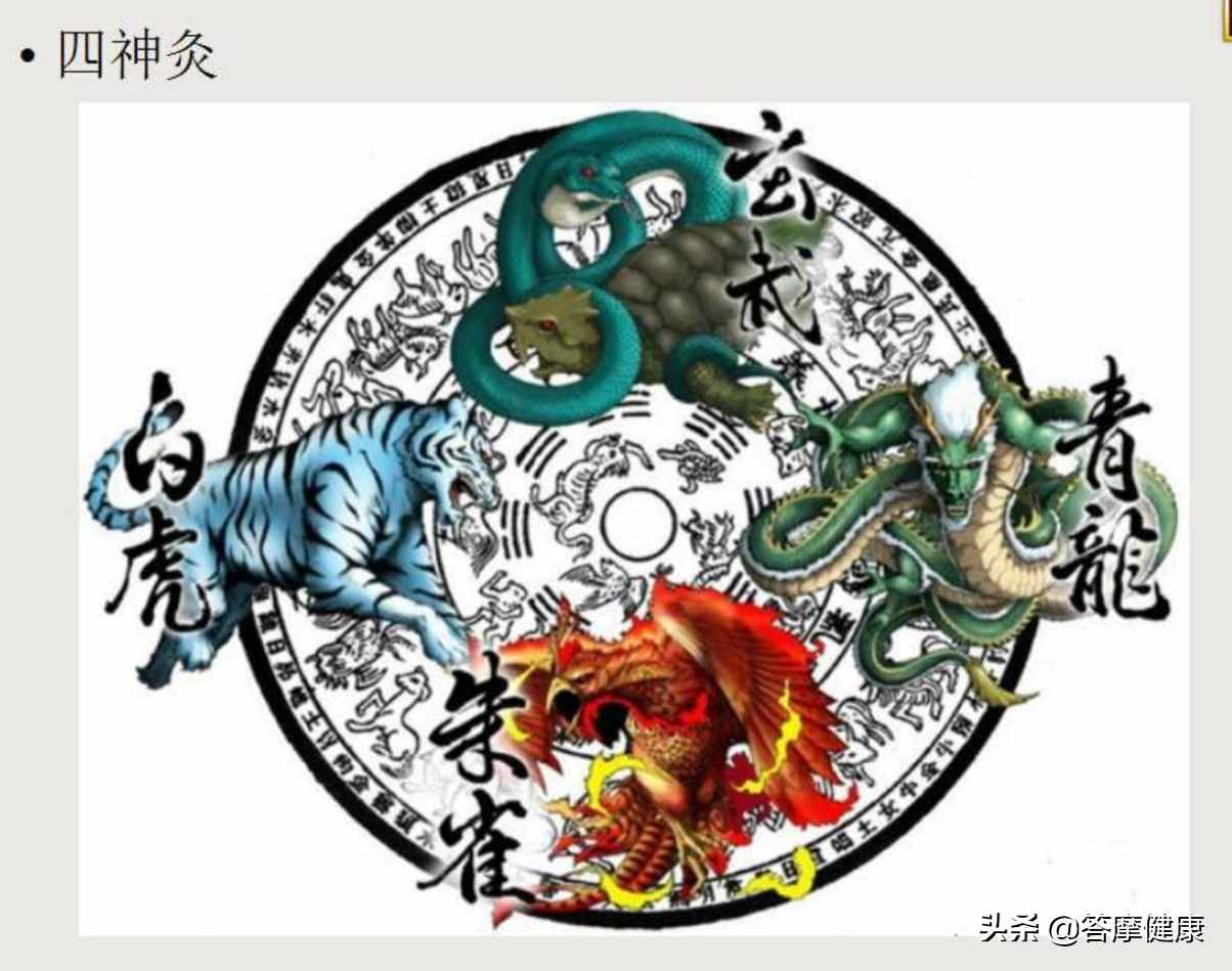 道家灸法——四神灸，神在哪里？