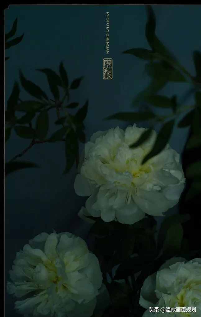 Photoshop人像調(diào)色教程：調(diào)色不是偏色，怎么調(diào)色才專業(yè)