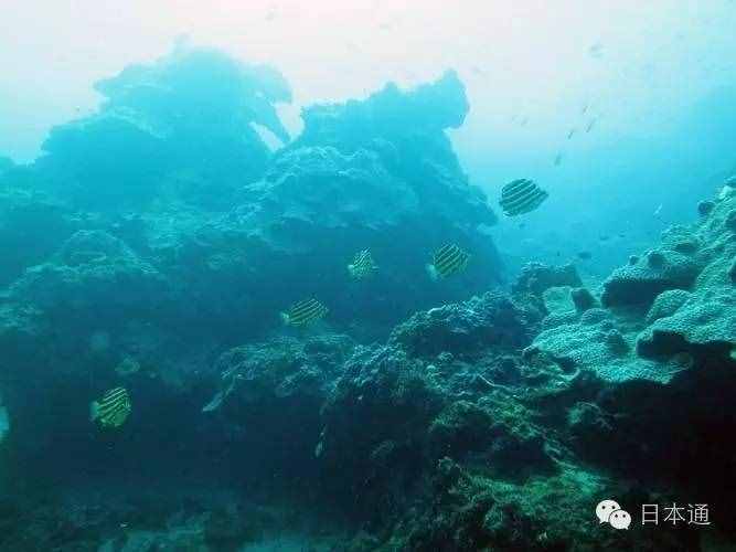 鮮為人知的十大高收入職業(yè)，不要錯過這些“潛力股”