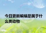 今日更新蝙蝠是屬于什么類動(dòng)物
