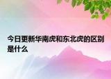 今日更新華南虎和東北虎的區(qū)別是什么