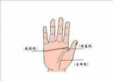 今日更新斷掌是什么意思（什么是斷掌）