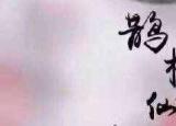 今日更新華燈的意思（鵲橋仙 · 華燈縱博）