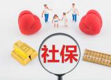 今日更新勞動(dòng)保障個(gè)人信息查詢(xún)（個(gè)人社保如何在網(wǎng)上查詢(xún)）