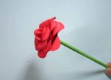 今日更新如何折紙玫瑰（手工折紙玫瑰 玫瑰花的折法步驟圖解）