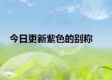 今日更新紫色的別稱