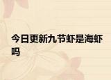 今日更新九節(jié)蝦是海蝦嗎