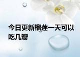 今日更新榴蓮一天可以吃幾瓣
