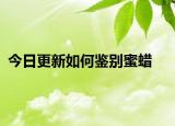 今日更新如何鑒別蜜蠟