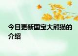 今日更新國寶大熊貓的介紹
