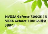 NVIDIA GeForce 7100GS（NVIDIA Geforce 7100 GS 腫么升級?）