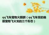 qq飛車(chē)寵物火麒麟（qq飛車(chē)?yán)锏慕^版寵物飛火龍的三個(gè)形態(tài)）