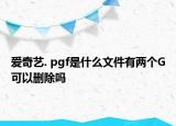 愛(ài)奇藝. pgf是什么文件有兩個(gè)G可以刪除嗎