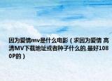 因?yàn)閻矍閙v是什么電影（求因?yàn)閻矍?高清MV下載地址或者種子什么的,最好1080P的）