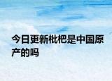 今日更新枇杷是中國(guó)原產(chǎn)的嗎