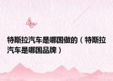 特斯拉汽車是哪國做的（特斯拉汽車是哪國品牌）