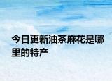今日更新油茶麻花是哪里的特產(chǎn)