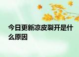 今日更新涼皮裂開是什么原因