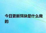 今日更新餌塊是什么做的