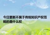 今日更新不屬于傳統(tǒng)知識產(chǎn)權(quán)范疇的是什么權(quán)