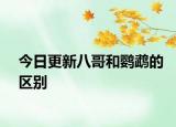 今日更新八哥和鸚鵡的區(qū)別