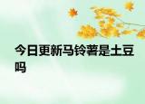 今日更新馬鈴薯是土豆嗎