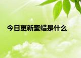 今日更新蜜蠟是什么