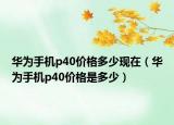 華為手機(jī)p40價格多少現(xiàn)在（華為手機(jī)p40價格是多少）