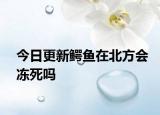 今日更新鱷魚在北方會凍死嗎