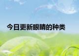 今日更新眼睛的種類