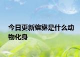 今日更新貔貅是什么動(dòng)物化身