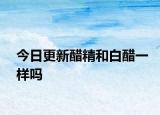 今日更新醋精和白醋一樣嗎