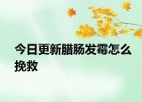 今日更新臘腸發(fā)霉怎么挽救