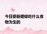 今日更新蟾蜍吃什么食物為生的