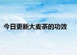 今日更新大麥茶的功效