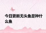 今日更新無頭魚是種什么魚